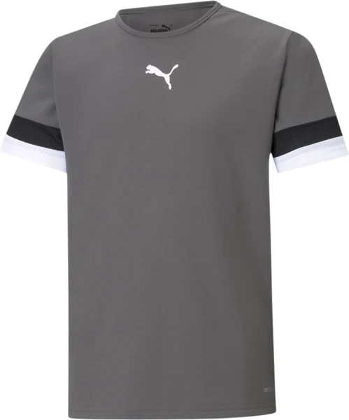 Футболка дитяча Puma TEAMRISE JERSEY JR сіра 704938-13