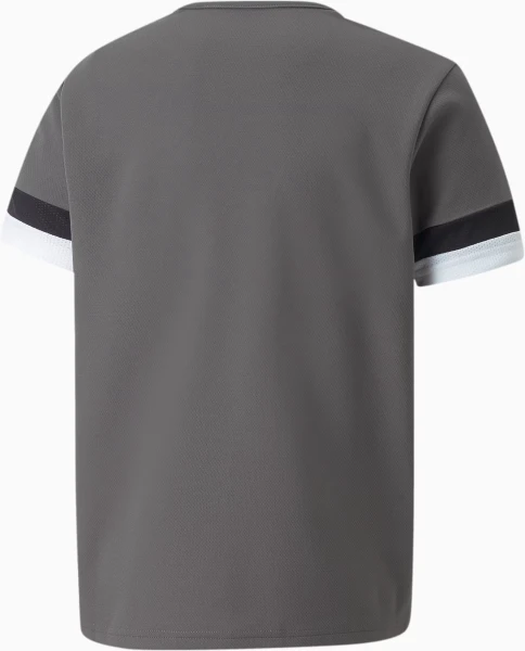 Футболка дитяча Puma TEAMRISE JERSEY JR сіра 704938-13