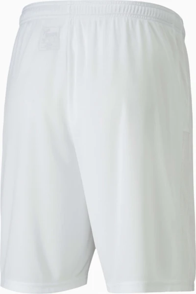 Шорти Puma TEAMGOAL 23 KNIT SHORTS білі 704262-04