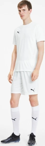 Шорти Puma TEAMGOAL 23 KNIT SHORTS білі 704262-04