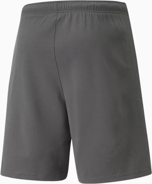 Шорти Puma TEAMRISE SHORT сірі 704942-13