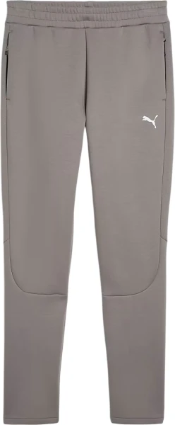 Спортивные штаны Puma EVOSTRIPE серые 68461479