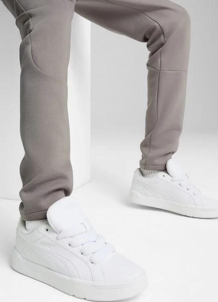 Спортивные штаны Puma EVOSTRIPE серые 68461479
