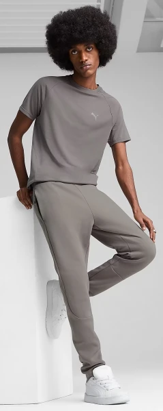 Спортивные штаны Puma EVOSTRIPE серые 68461479