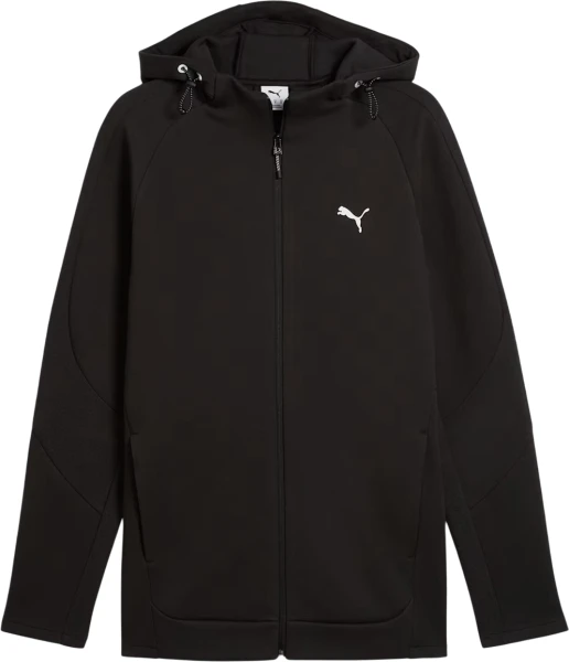 Толстовка Puma EVOSTRIPE чорна 68461301