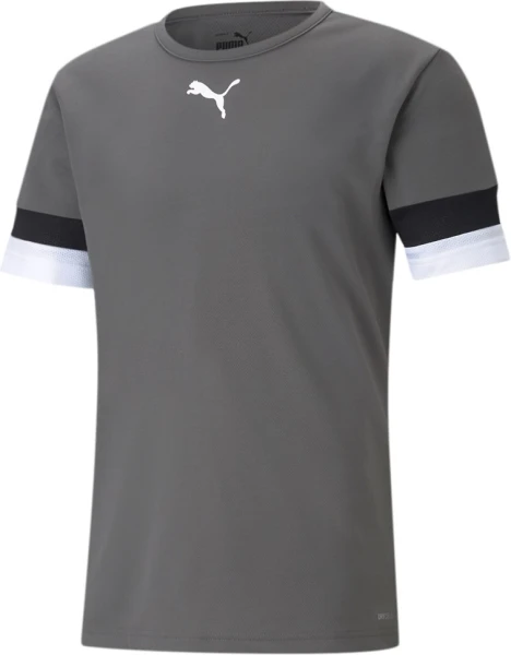 Футболка Puma TEAMRISE JERSEY сіра 704932-13