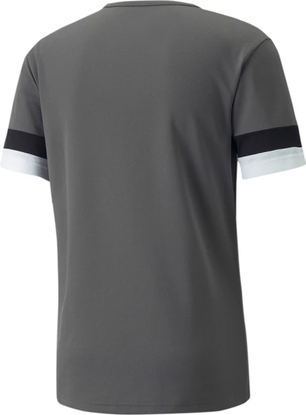 Футболка Puma TEAMRISE JERSEY сіра 704932-13