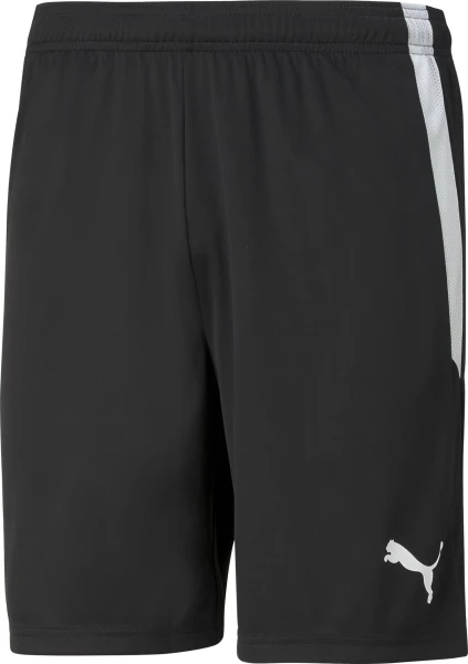 Шорти Puma TEAMLIGA чорні 704924-03