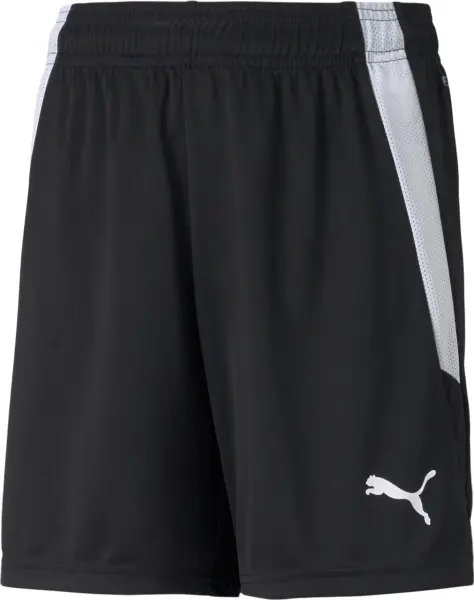 Шорти дитячі Puma TEAMLIGA SHORTS JR чорні 704931-03