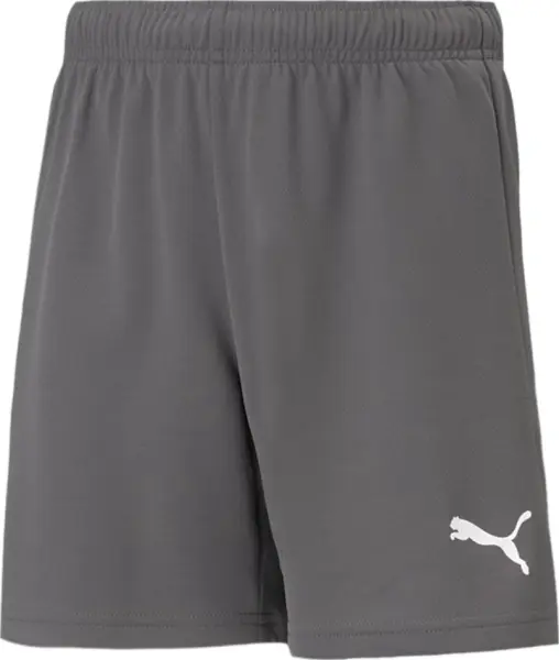 Шорти дитячі Puma TEAMRISE SHORT JR сірі 704943-13