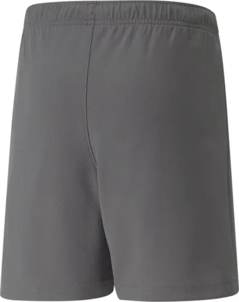 Шорти дитячі Puma TEAMRISE SHORT JR сірі 704943-13