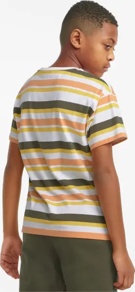 Футболка підліткова Puma ALPHA STRIPED біло-жовто-оранжево-оливкова 847293-02