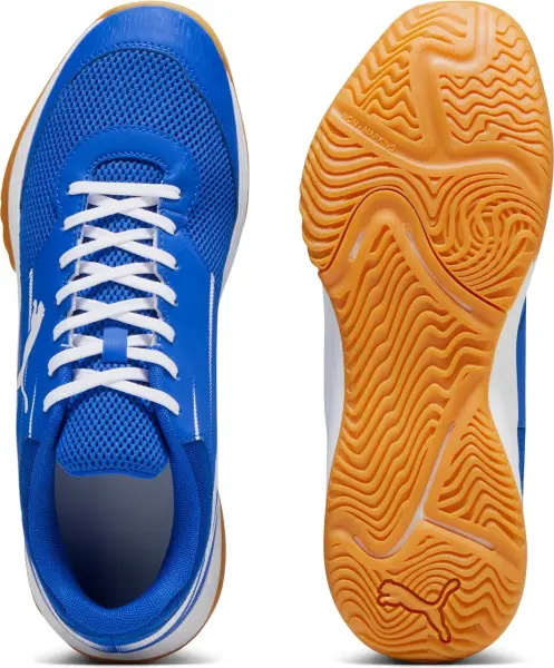 Кросівки для залу Puma VARION II INDOOR сині 107341-03