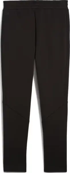 Спортивні штани Puma EVOSTRIPE CORE чорні 63153301