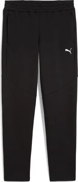 Спортивні штани Puma EVOSTRIPE чорні 68823401