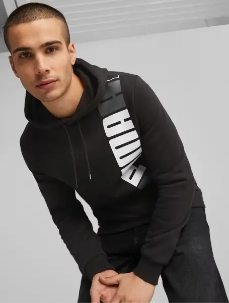 Худі Puma ESSENTIALS LOGO LAB чорне 675919-01