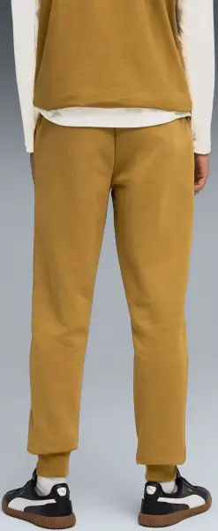 Спортивні штани Puma ESSENTIALS 2 COLOUR NO.1 LOGO світло-коричневі 68471369