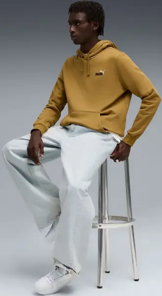 Худі Puma ESSENTIALS 2 COLOUR SMALL NO. 1 LOGO світло-коричневе 68471869
