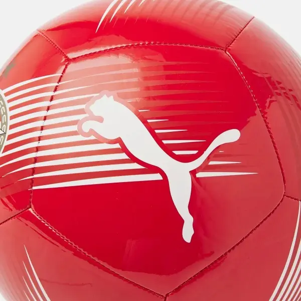 Футбольний м'яч Puma PSV ESSENTIALS червоно-білий Розмір 5 084795-01