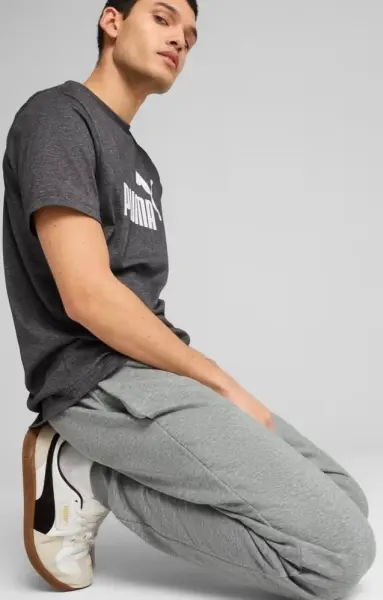 Спортивные штаны Puma ESSENTIALS NO. 1 LOGO серые 68260803