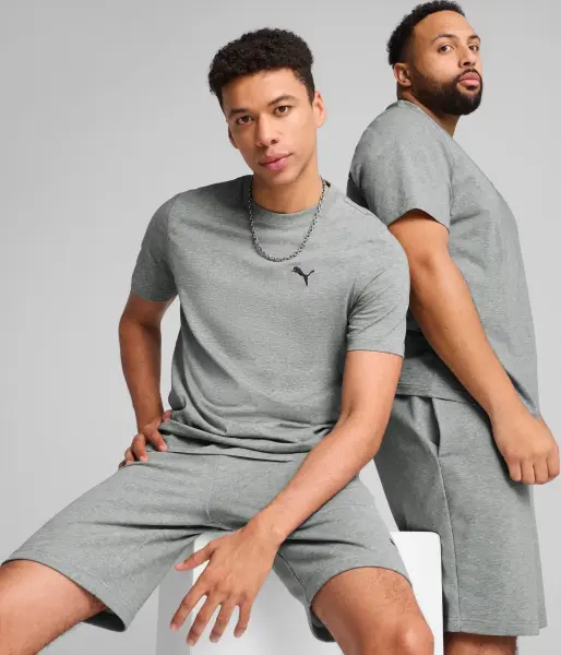 Футболка Puma ESSENTIALS SMALL LOGO сіра 68253803