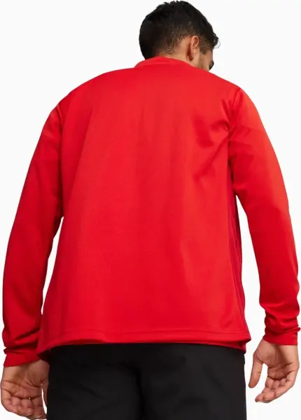 Олімпійка (мастерка) Puma TEAMGOAL червона 658633-01