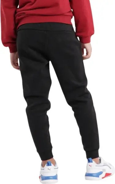Спортивные штаны подростковые Puma ESSENTIALS LOGO черные 586973-01