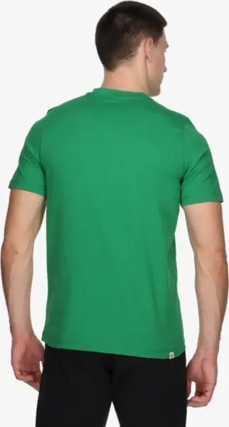 Футболка Puma BETTER SPORTSWEAR зелена 679001-86