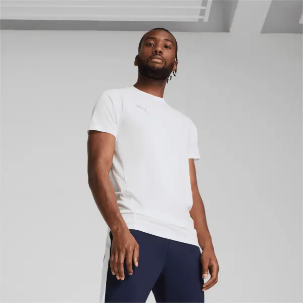Футболка Puma TEAMEVOSTRIPE біло-сіра 659953-04