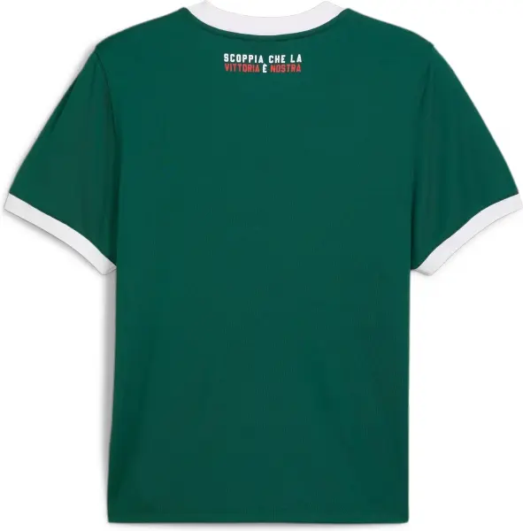 Футболка Puma X PALMEIRAS RINGER (Палмейрас) темно-зелено-біла 629533-43