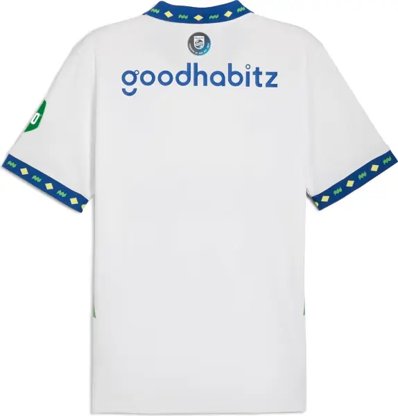 Футболка Puma PSV REPLICA (ПСВ) резервна біло-синьо-зелена 775164-03