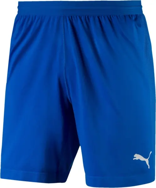 Шорти Puma FINAL EVOKNIT сині 703449-02