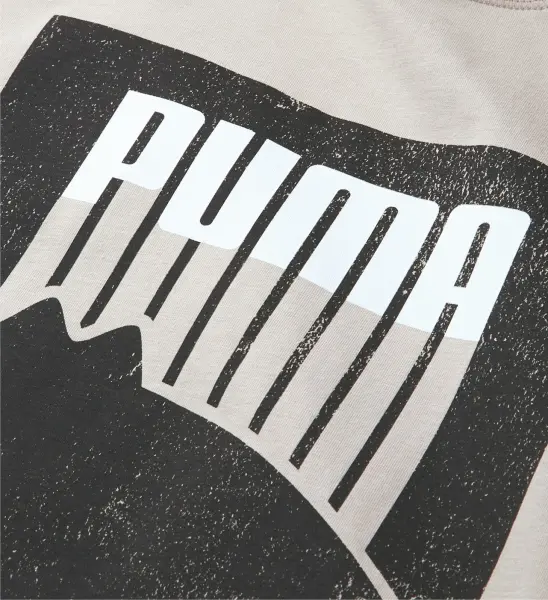 Футболка спортивная Puma светло-серо-черная 847021-02