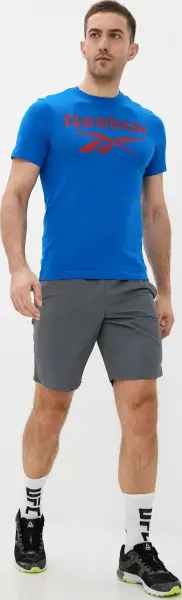 Футболка Reebok BIG LOGO TEE синьо-червона FP9149