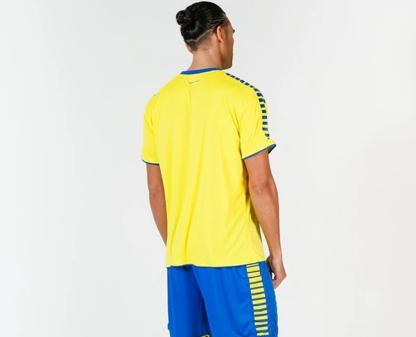 Футболка Select Argentina player shirt желто-синяя 622500-011