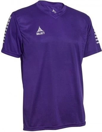 Футболка игровая Select PISA PLAYER SHIRT фиолетовая 624130-009