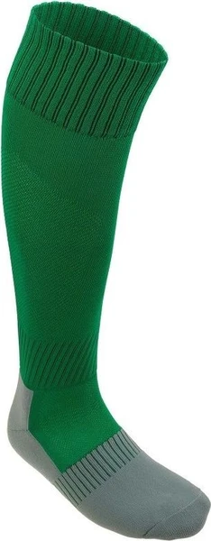 Гетри ігрові Select Football socks зелені 101444-005