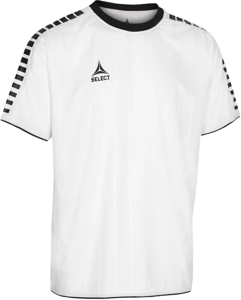 Футболка Select Argentina player shirt біло-чорна 622500-013