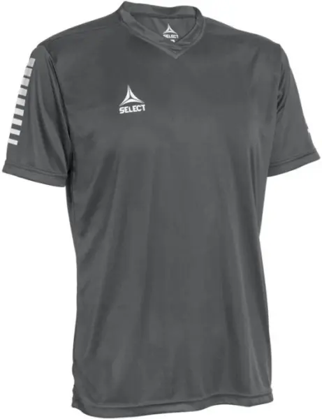Футболка Select PISA PLAYER SHIRT S/S сіра 624130-990