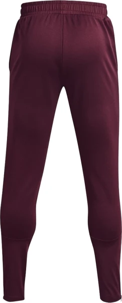 Спортивні штани Under Armour TERRY PANTS бордові 1366265-600