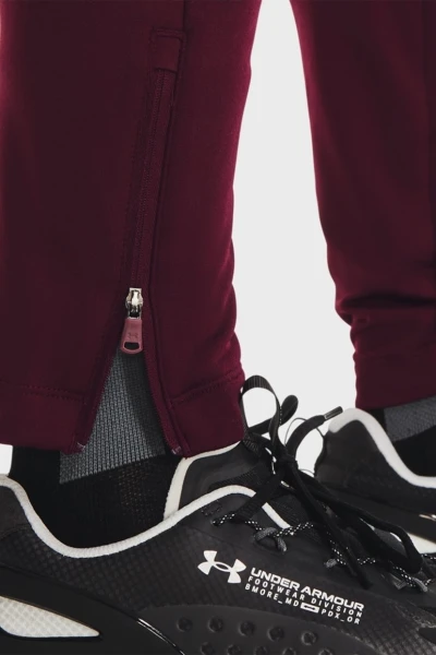 Спортивні штани Under Armour TERRY PANTS бордові 1366265-600