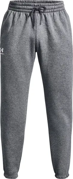 Спортивні штани Under Armour ICON FLEECE сірі 1373882-012
