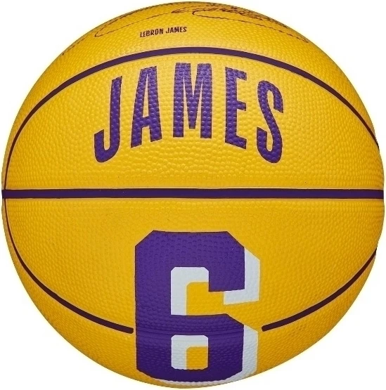 Баскетбольний м'яч Wilson NBA PLAYER ICON MINI LEBRON JAMES жовто-фіолетовий Розмір 3 WZ4007201XB3
