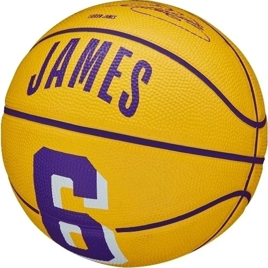 Баскетбольний м'яч Wilson NBA PLAYER ICON MINI LEBRON JAMES жовто-фіолетовий Розмір 3 WZ4007201XB3
