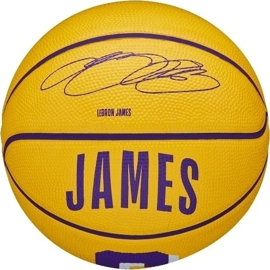 Баскетбольний м'яч Wilson NBA PLAYER ICON MINI LEBRON JAMES жовто-фіолетовий Розмір 3 WZ4007201XB3