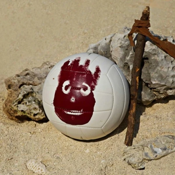 Волейбольний м'яч Wilson MR WILSON CASTAWAY SS13 біло-червоний Розмір 5 WTH4615XDEF