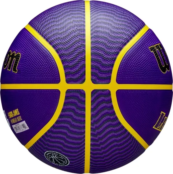 Баскетбольний м'яч Wilson NBA PLAYER ICON OUTDOOR LEBRON JAMES фіолетово-жовтий Розмір 7 WZ4027601XB7